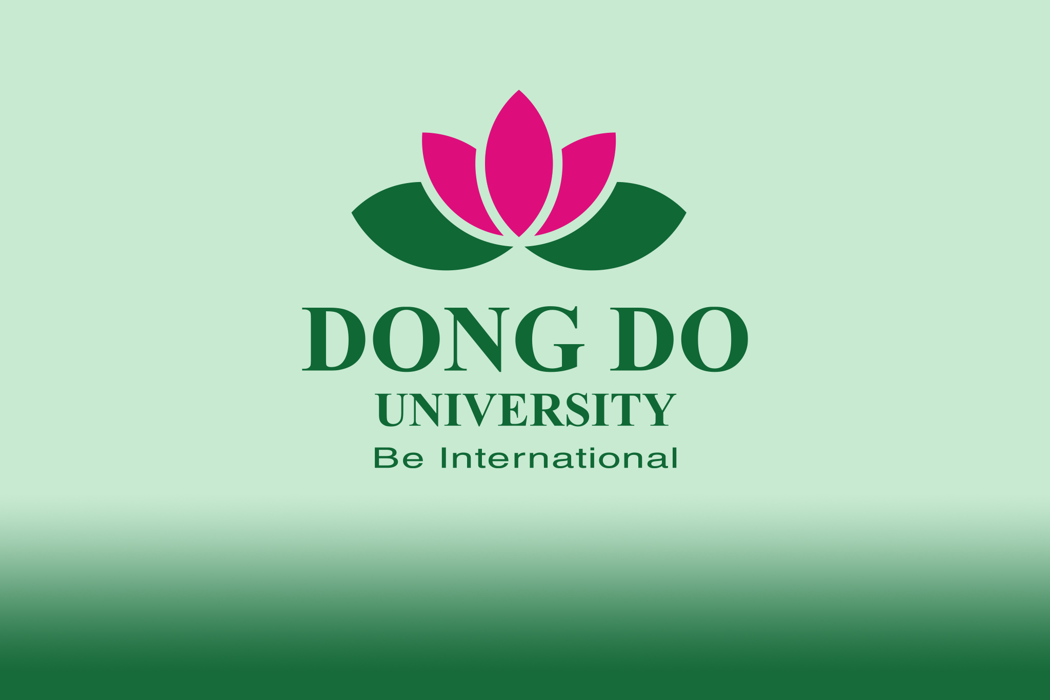 Chương trình đào tạo ngành Ngôn ngữ Trung Quốc